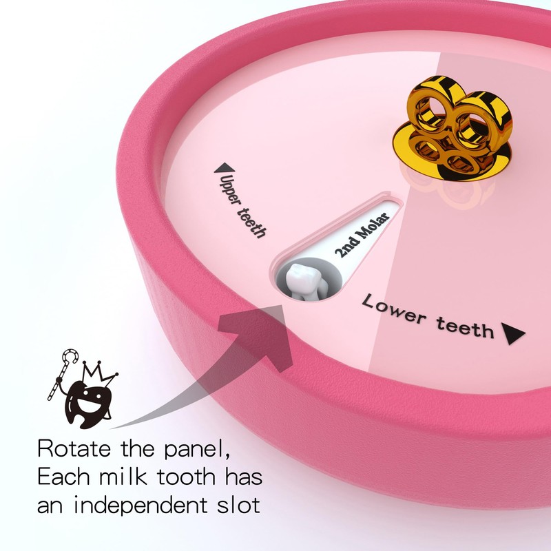 DDMBOX Baby Memory Keepsake Box,Shell-Shaped Design,Waterproof Shockproof,Tooth Savers for Kids