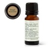 Plant Therapy Aceite Esencial De Jengibre 10ml