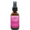 Plantlife Aromatherapy Personal Mist 2oz - Energy