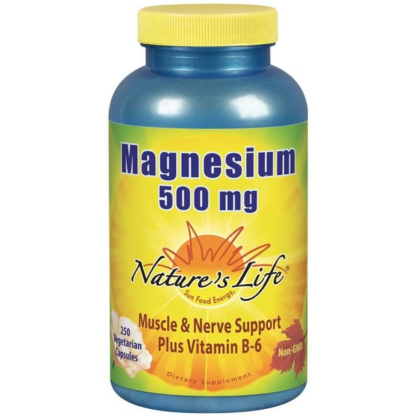 Nature's Life Magnesium 500mg | High Potency Magnesium Supplement Plus Vitamin B-6 for Muscle & Nerve Support (250 CT)