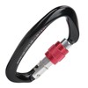 Mountaineering D Locking Carabiner Clips Alloy Heavy Duty Carabiner for