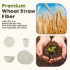 Homienly 40 PCS Dinnerware Set Service for 8, Kitchen Wheat