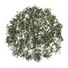 GOARTEA Green Tea 2Pcs 250g / Total 17.6oz Supreme Grade