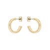 Ted Baker Senatta Crystal Hoop Earrings (Gold Tone/Crystal)