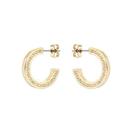 Ted Baker Senatta Crystal Hoop Earrings (Gold Tone/Crystal)