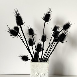 Natural Real Dried Thistle Flowers Black Bleached Thistle Bundle for Filler Floral Arrangement DIY Home Party Decor- Black