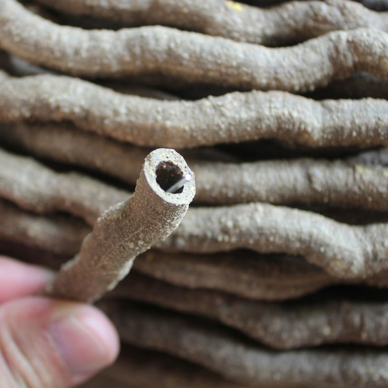 emours Small Animal Bend-A-Branch Jungle Vine Pet Habitat Decor with