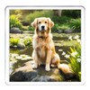 Golden Retriever Dog Coaster Set. 4 different Golden Retriever Dog