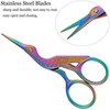 BIHRTC Rainbow Embroidery Scissors Small Precision Stainless Steel Scissors with
