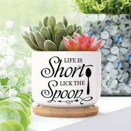DecStic Life is Short Lick The Spoon Ceramic Planter Bible Verse Snake Plant Live Indoor with Pot with Drainage Holes and Saucers Pot for Outdoor Garden Home Plant