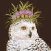 Snowy Owl Beverage Napkins - 40 Count | Snow Queen