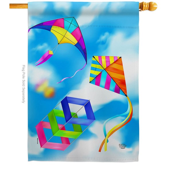 Ornament Collection Blue Sky Kites House Flag Summer Fun in