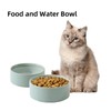 Havniva Ceramic 5.1inch Set of 2 Dog and Cat Bowls,