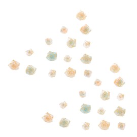 TOVINANNA 100pcs Resin Floral Nail Art Stickers for DIY Manicure Crafts Vibrant Gradient Colors for Women Creative Nail Embellishments