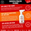 C&G Pets Chicken & Poultry Cleanse 500 ML By Cooper And Gracie | Keeps Poultry Clean Of Mite Lice | Removes Dirt And Grit From Skin And Feathers | Safe Around Poultry Feeding Area