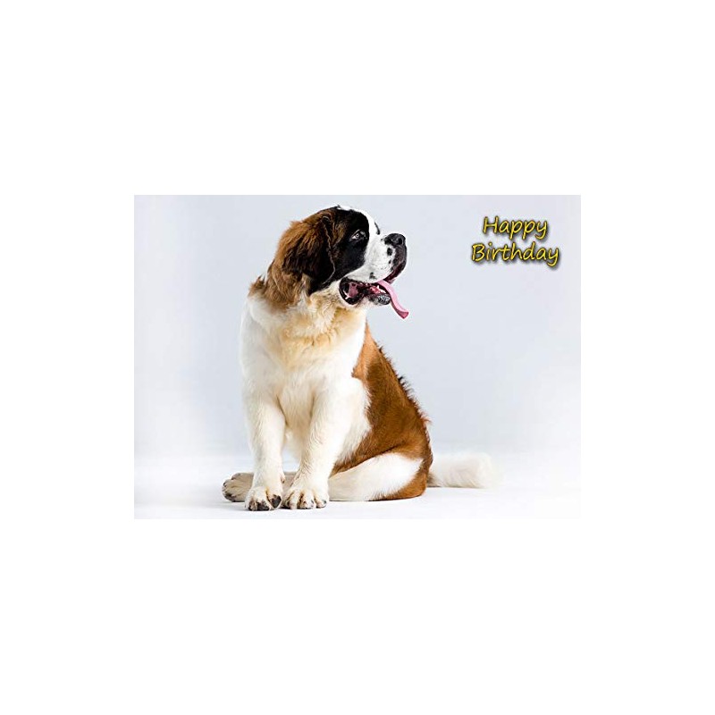 St Bernard Birthday Card