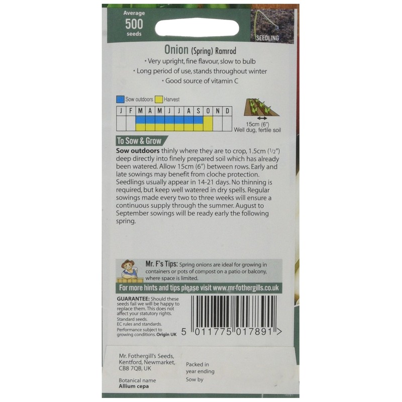 Mr Fothergill's 21423 Vegetable Seeds, Onion (Spring) Ramrod