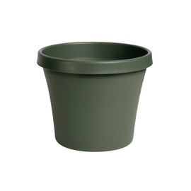 Bloem Terra Pot Planter 8" Living Green