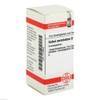 Sabal Serrulatum D 1 Globules 10 g