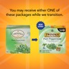 Twinings Pure Peppermint Tea - Naturally Caffeine Free, Refreshing Mint