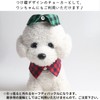 Plus Nao(プラスナオ) 猫用首輪 ペット 猫 ネコ 首輪 チョーカー 付け襟風 セーフティーバックル式