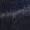 Color Touch Rich Naturals 2/8 Blauschwarz 60 ml