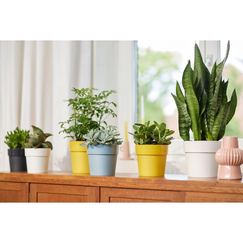 elho B.for Original Round 14 - Flower Pot for Indoor