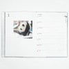 Greeting Life Panda Notebook 2026 B6 Weekly Soft Cover Climbing