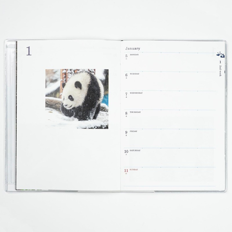 Greeting Life Panda Notebook 2026 B6 Weekly Soft Cover Climbing