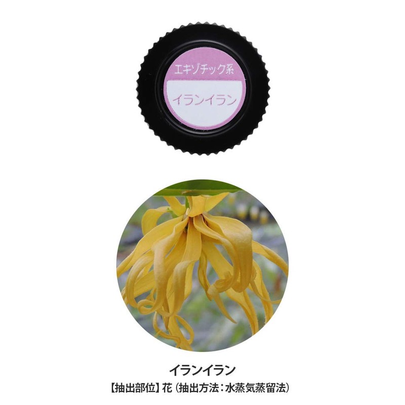 7 of Essential Oils, Ylang-Ylang 10ml Aromatherapy Essential Oils