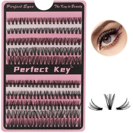 Perfect Key 200 Clusters Natural Look Eyelash Extensions Wispy Lash Clusters D Curl Cluster Lash Extensions 10-18mm (30D-200 Black)