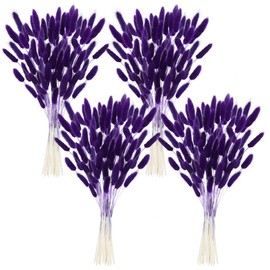 Phliofd 480Pcs Bunny Tails Dried Flowers, Natural Dried Bunny Tails Grass Dried Lagurus Ovatus Rabbit Tail Grass for Flowers Arrangements DIY Craft Wedding Party Home Table Decor (Purple)