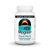 Source Naturals Magtein Magnesium L-Threonate 667mg Supports Focus, Mood, Healthy