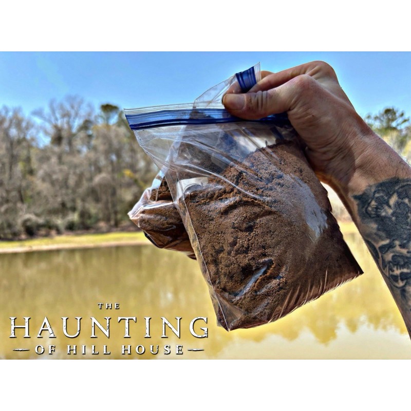 The Haunting of Hill House Relics Memorabilia Props with COA