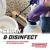 Chapin 20075 Disinfectant Bleach Sprayer, 1 Gallon, Made in The