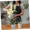 BESPORTBLE 2sets Transparent Orchid Pots with Drainage and Saucers Breathable