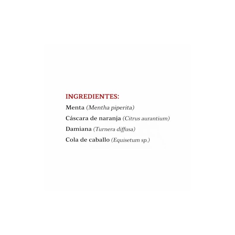 Plamesi Diges Digestivo Infusion Herbal Natural Cafeina Cajas Sobres Menta