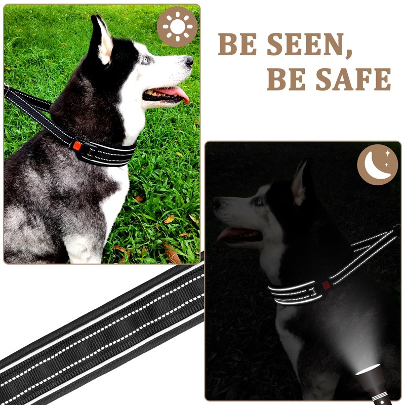 Mayerzon Martingale No Pull Dog Collar, Reflective Walking Collar for
