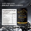 Gwynne Shilajit Gummies Puro Del Himalaya 85 Micronutrientes 3000mg Apto