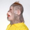 Myth Square, Orangutan, Monkey, Animal, Rubber Mask, Halloween, Christmas, Mask,