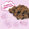 Charlee Bear Bearnola Bites Dog Treats, Cranberry Cobbler Flavor, 8oz