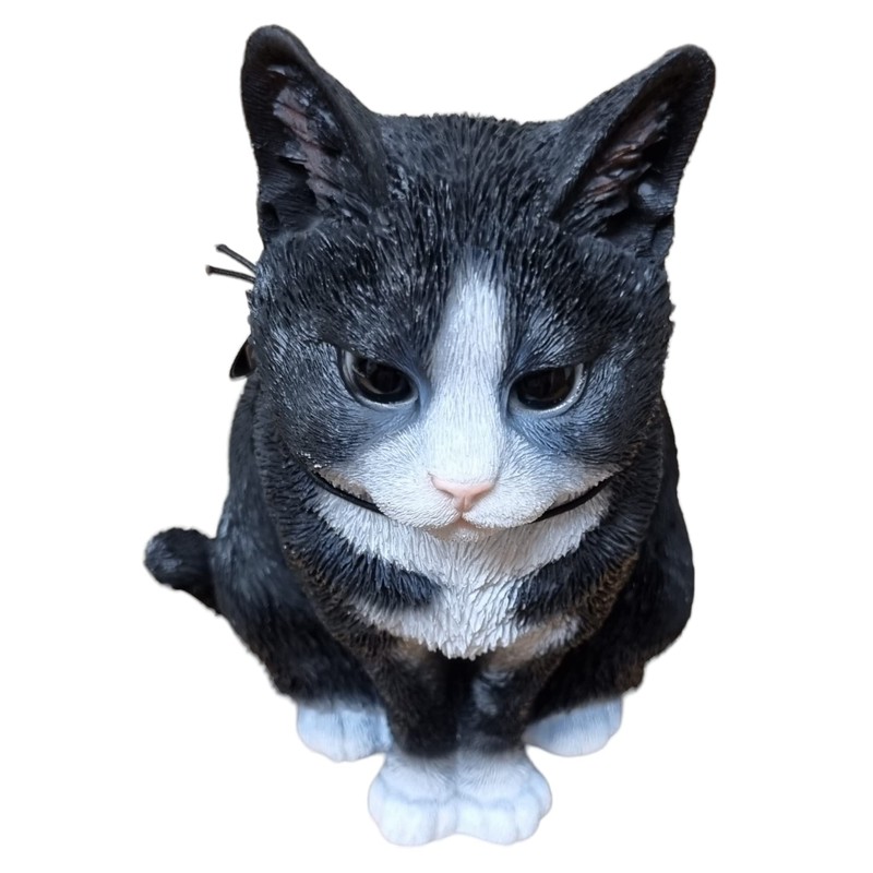 Vivid Arts Sitting Cats (Black/White Cat)