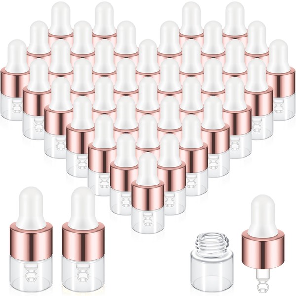 Didaey Didaey 100 Pcs Mini Glass Oil Dropper Bottle Bulk,