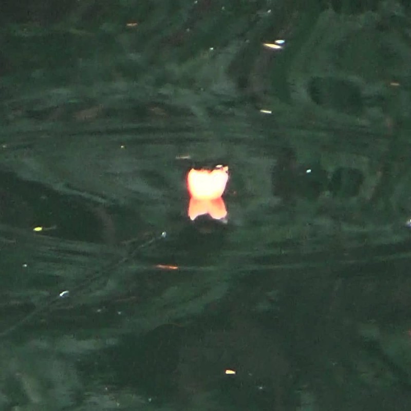 river peak yarn indicator (L, Orange)