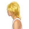 Katsurando Kinpatsu Kun Wig Costume Accessory Unisex