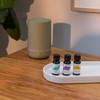 Lifestyle Blends Lifestyle Trio Essential Oil Set