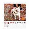 2026 Calendar Chihuahua Senryū (Weekly Flip)