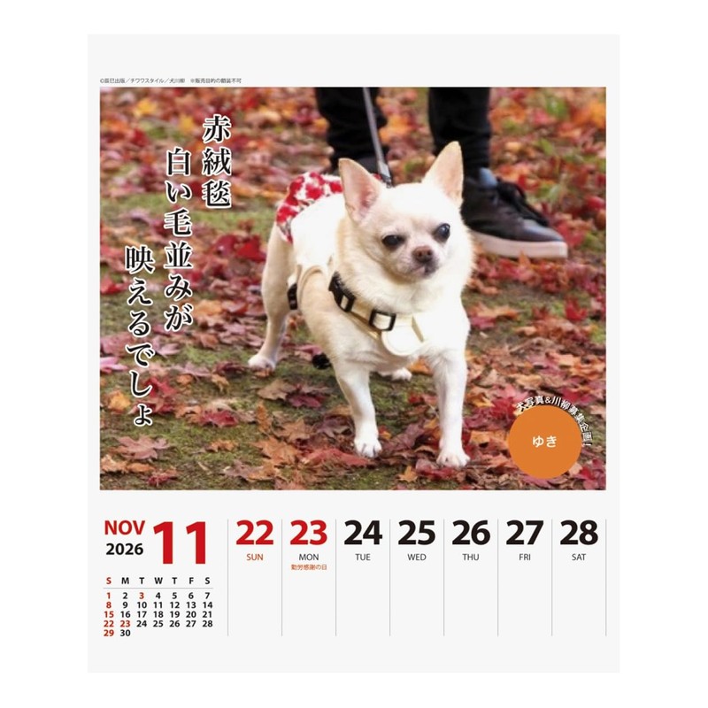 2026 Calendar Chihuahua Senryū (Weekly Flip)