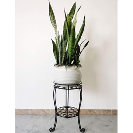 TREEZITEK 18.9inch Tall Plant Stand for Flower Pot Heavy Duty Potted Holder Indoor Outdoor Metal Rustproof Iron Garden Container Round Supports Rack for Planter