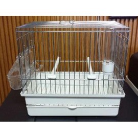 I064Z Chrome and White Song Bird CAGE